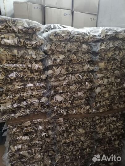 Гриб высушенный белый