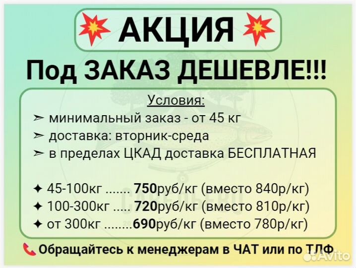 Свежая рыба Форель охлажденная / от Производителя