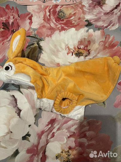 Костюм для йорка