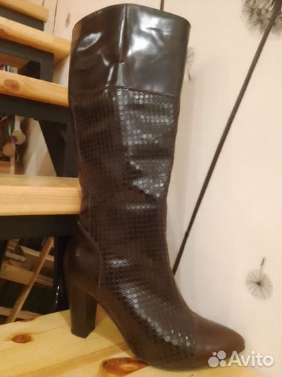 Сапоги осень весна женские