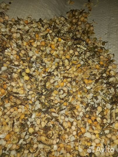 Горох (гороховые: дроблёнка, отруби, мука)