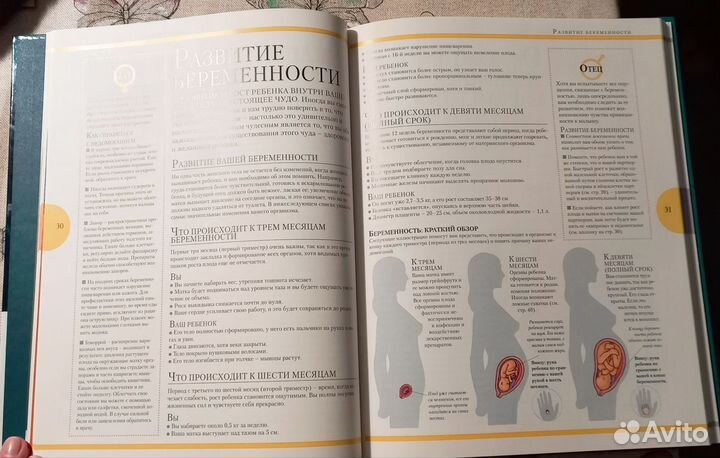 Книга молодых родителей доктора М. Стоппард