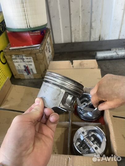 Поршни газ 406