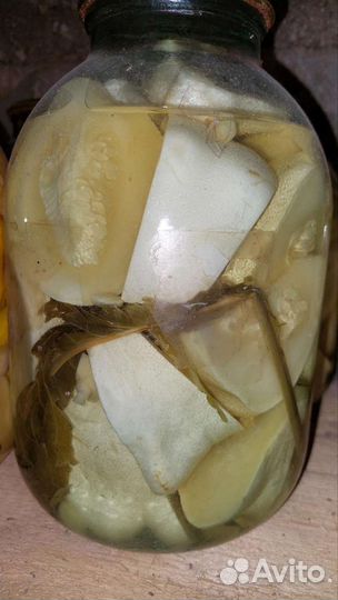 Курочки домашние