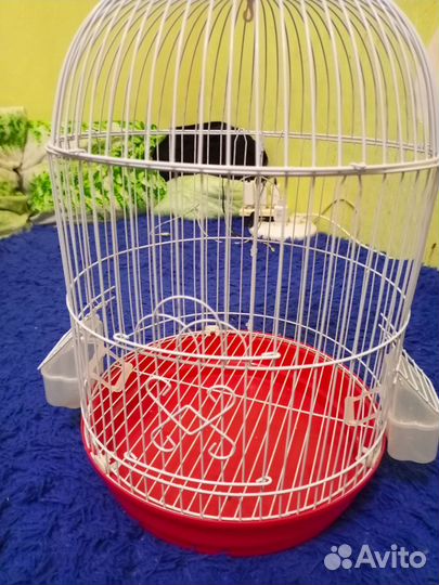 Клетка для попугая