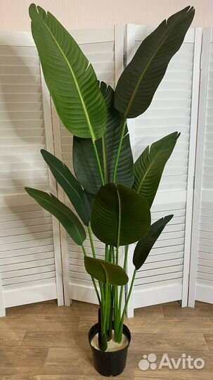 Пальма шикарная искусственная реалистичная тренд