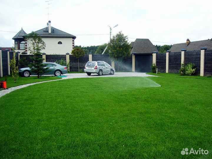 Рулонный газон, укладка, продажа