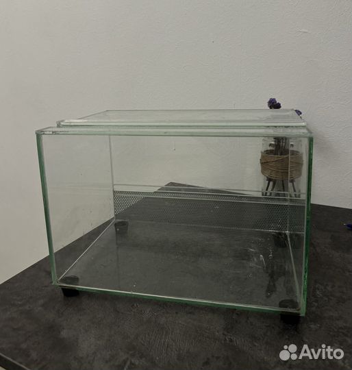 Террариум для эублефара