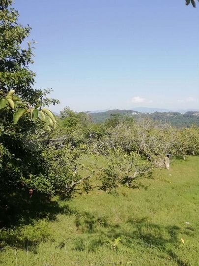 Участок 35,2 сот. (ИЖС)