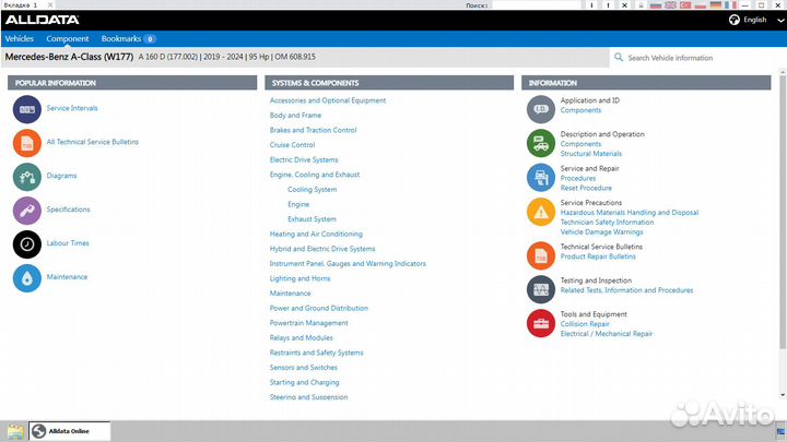 AllData Europe/USA online