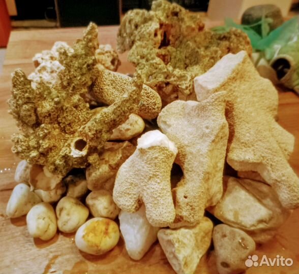 Каралы камни грот для аквариума