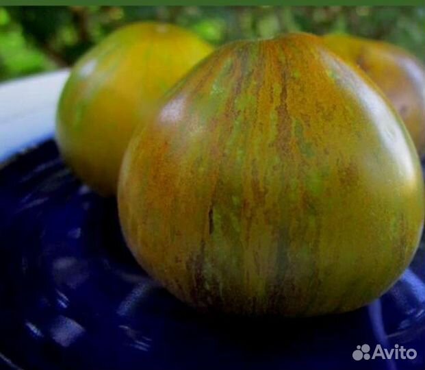 Семена томатов редчайших сортов