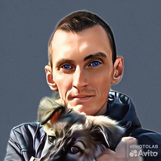 Мерчендайзер