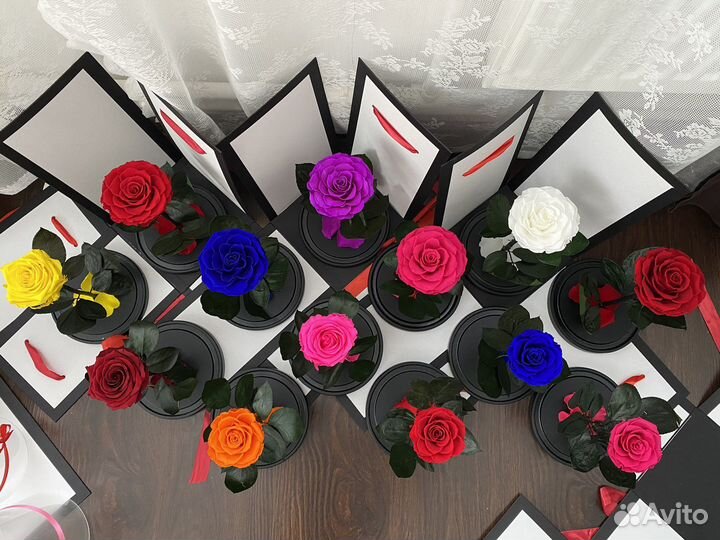 Роза в колбе премиум хит