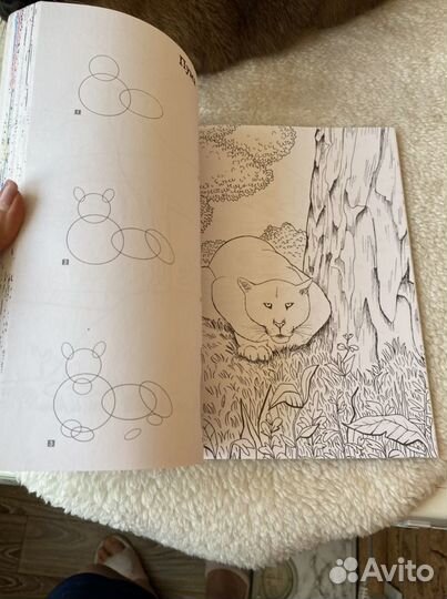 Раскраска антистресс Кошки