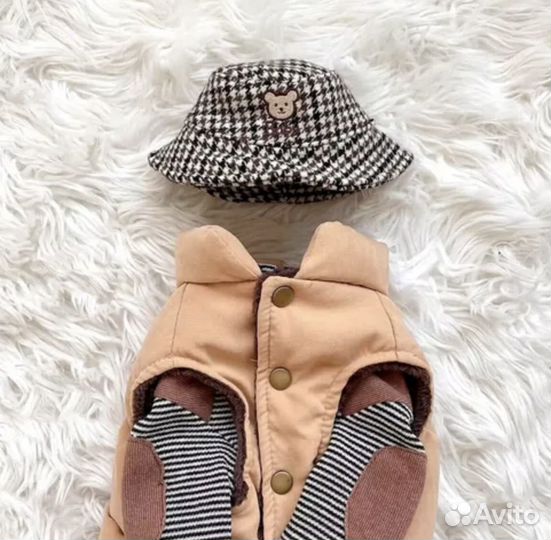 Одежда для собак