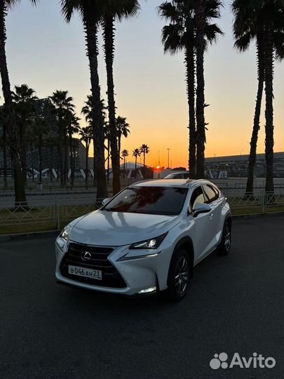 Индивидуальная экскурсия на Красную поляну