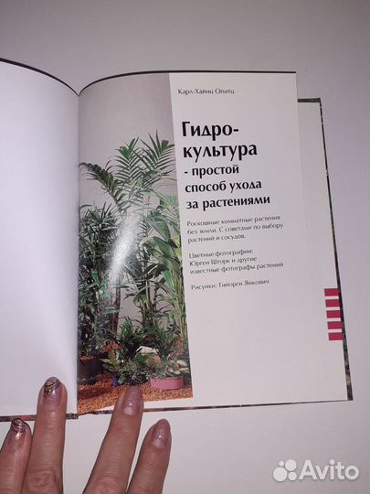 Книга комнатные растения