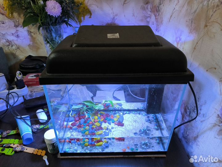 Продам аквариум