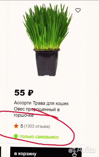 Трава для животных (готовый бизнес)