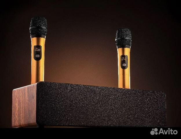 Караоке-система Mojo Pro 2 радио микрофона, 120 Вт объявление продам