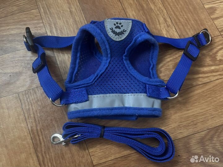 Шлейка для маленькой собаки анатомическая