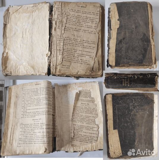 Новый завет и псалтырь 1901 года