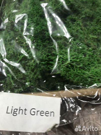 Декоративный мох целая коробка