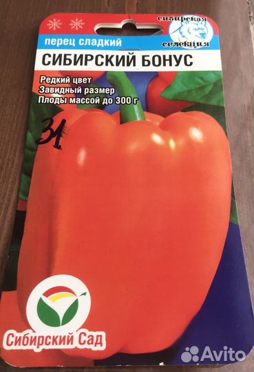 Рассада перчика и помодорок