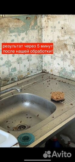 Уничтожение клопов, травля тараканов дезинсекция