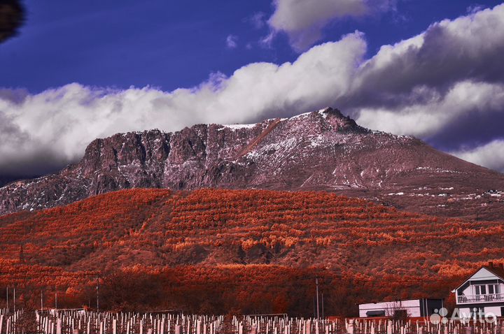 IR ик камера sony nex 3n