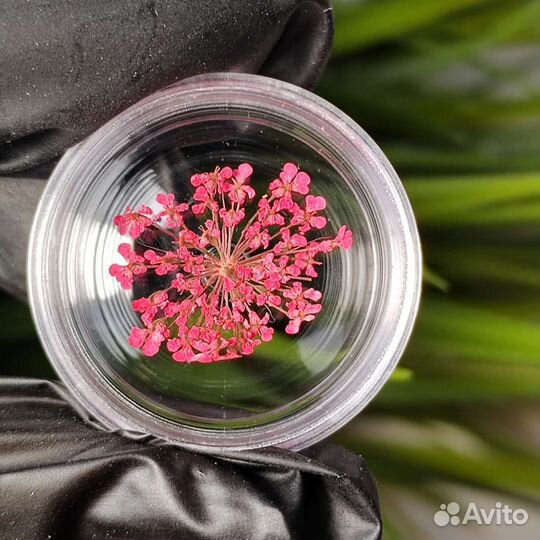 Сухоцветы для дизайна ногтей