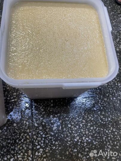 Свежий мед липовый оптом