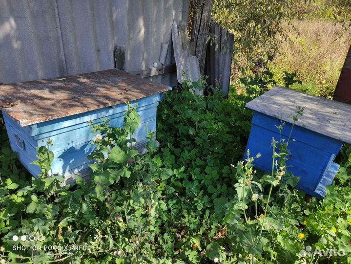 Продам ульи для пчел