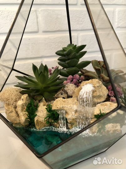 Мужской флорариум