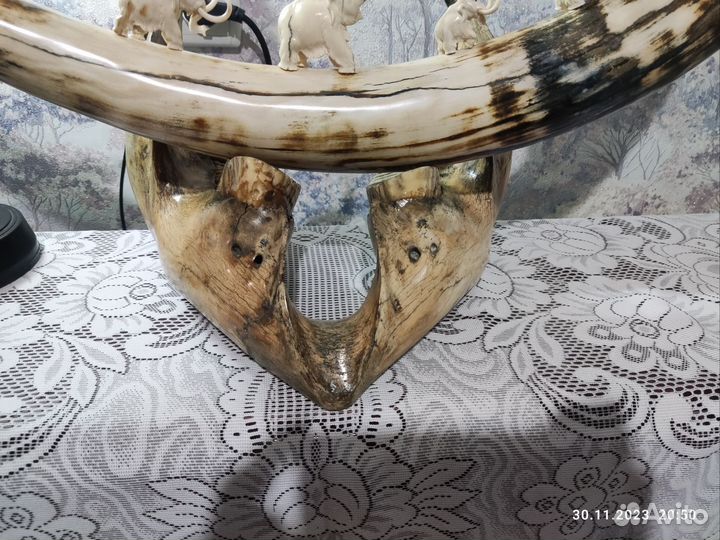 Бивень мамонта 