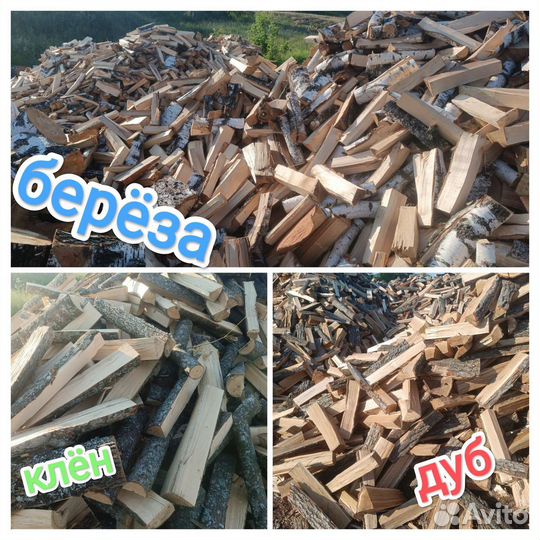 Дрова колотые дуб берёза