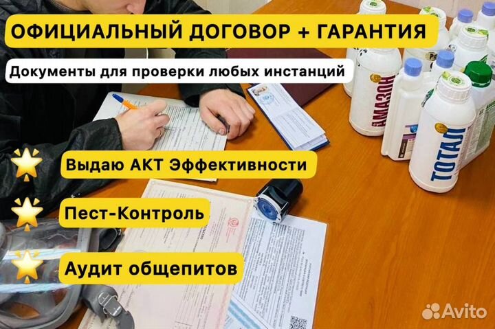 Уничтожение тараканов, Травля, Частный Мастер