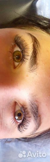 Наращивание ресниц на дому