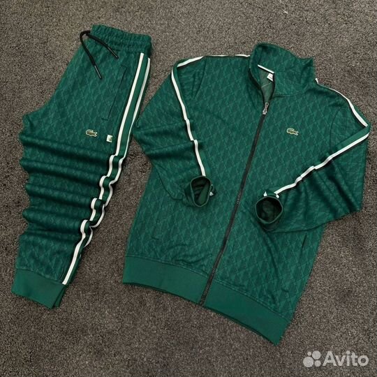 Мужской костюм Lacoste