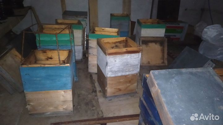 Продажа пчел и ульи