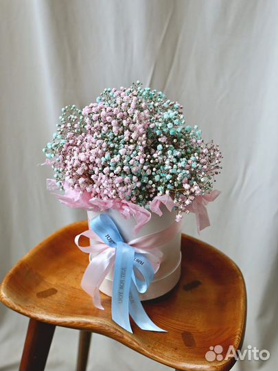 Цветы Гипсофила Шляпная Коробка