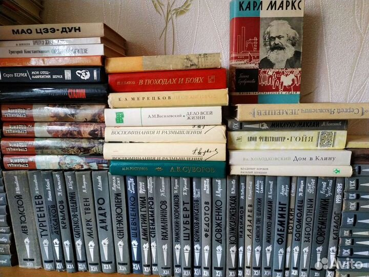 Книги серии жзл, библиотека