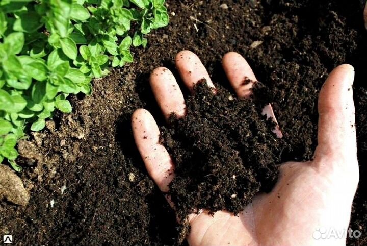 Грунт Плодородный