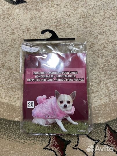 Вещи для чихуахуа