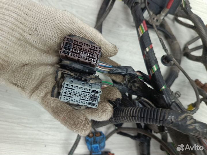 Проводка подкапотная двс renault logan 2