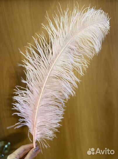 Страусиные перья