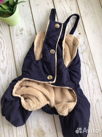 Костюм для собаки