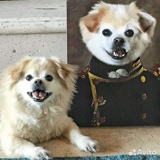 Портрет собаки кошки питомца масляными красками