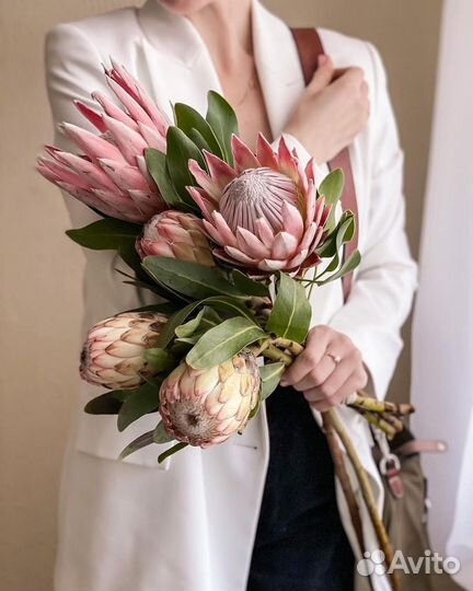 Букет с протеей